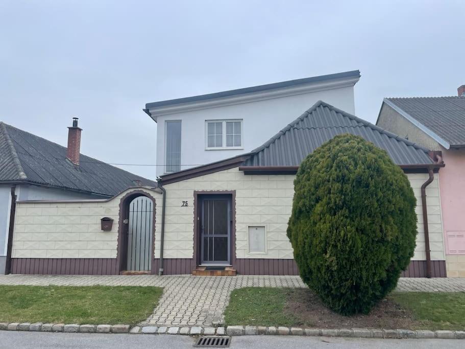 Cheap Outlet Center Apartment With Pool Parndorf Eksteriør billede